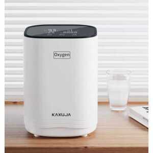 공기 병원용 가정용 산소발생기 휴대용 노인용 산소기 임산부용 소형 자동차 산소호흡기 제품