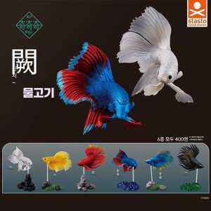 베타 물고기 소품 피규어 세트 인테리어 6종 제품 장식