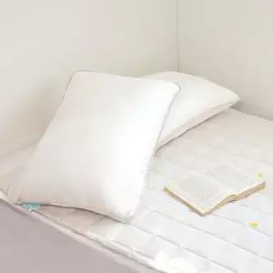 [기절베개]홈랩 알러지케어 오리지날 기절베개 5070 베개솜 1종