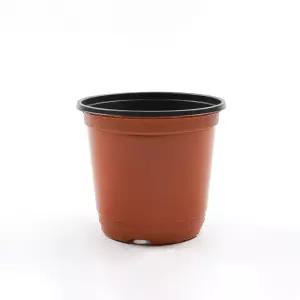 갑조네 이색화분 기본포트