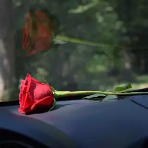 대쉬보드 대시보드 커버 덮개 가리개 패드 제네시스G80 DH