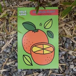 색칠북 그림책 과일 야채