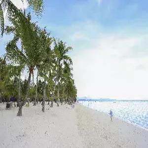 [스마트 초이스] 보홀 6일 #헤난프리미어코스트 #세부오슬롭고래상어투어 #알로나비치 #보홀시티투어 #특식3회