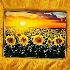 해바라기 장식 액자 풍수 돈들어오는 벽걸이 해바라기 그림 액자 거실