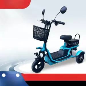 세발 전기 자전거 전동 강아지 삼륜 어르신 스쿠터 바이크
