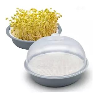 새싹재배용기 투명덮개 콩나물키우기 원형트레이 씨앗발아 영양채소 관찰학습 주방텃밭