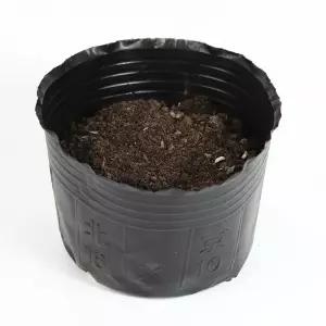 비닐화분포트 플라스틱 묘목컵 화훼 모종포트 봉지 원예 대형 묘목 식물