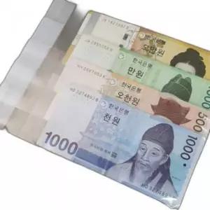 투명 OPP 용돈 봉투 돈케이크 포장 비닐 10매 서프라이즈 소품