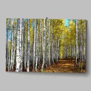 자작 나무그림 북유럽 아크릴 거실 인테리어 액자 현관 집들이선물 벽걸이 벽장식 개업 선물 새집 소품