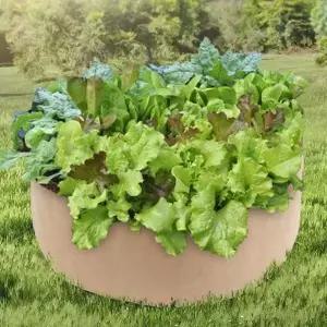 부직포 화분 실내 재배 텃밭 초록가든