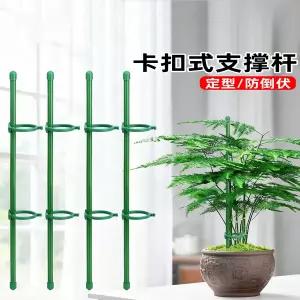 넝쿨 지지대 덩쿨 식물 지주대 화초 화분 원예  아스파라거스 고사리 관엽식물 덩굴식물 고정 채소 재배 몬