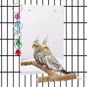 거울과 종이 있는 대형 새 스탠드 농어 장난감 앵무새 아프리카 회색 버디 코카티엘 러브버드를 위한