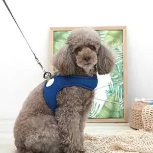 [반려] 패리스독 강이지 리드줄 하네스 세트 산책줄 블루