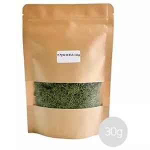 창의활동- 스칸디아모스 30g