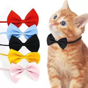 강아지 고양이 케이프 넥타이 나비 애견 코스튬 소품 qVt3+4bdh