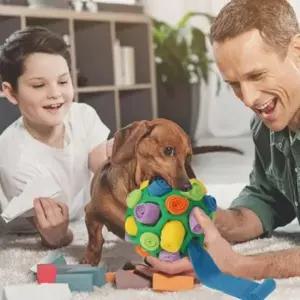 [반려] 강아지 노즈워크 볼 애견 간식장난감 놀아주기 축구공