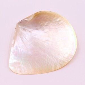 천연 조개 접시 보관 껍대기 소품 껍질 조경 장식