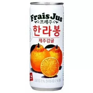 프레주 한라봉 제주감귤 240ml 30캔 탕비실 음료수