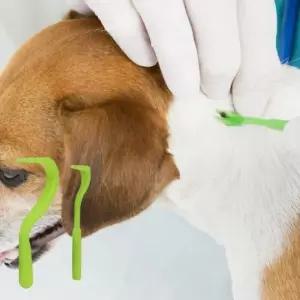 강아지해충 진드기 핀셋 강아지 집게 반려용