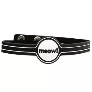 고양이용품 젤리 목줄 뮤 고양이인식표 고양이하네스 고양이목걸이 고양이가슴줄