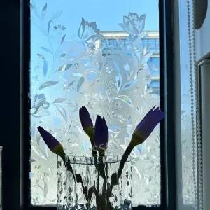 클래식 창문시트지 사생활보호 간편 자외선차단 입체 불투명 햇빛가리개 욕실 일상 벽장식