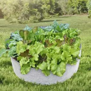 초록가든 베란다 텃밭 부직포 화분 상추 야채재배화분