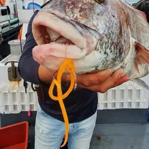 참돔 타이라바 스커트 타코웜 실리콘 교체용 루어채비