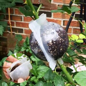 5/8/12cm 공기 계층화 포드 식물 뿌리 볼 고압 번식 성장 상자 접목 케이스 심기 보육 냄비