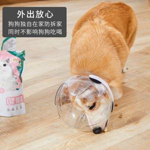 노견 헬멧 머리 보호구 머리보호 투명 발톱 충돌방지 보조 충돌 애견 반려동물 개물림
