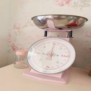 레트로 가정용 베이킹 용수철 트레이, 스테인레스 스틸, 오염 방지 주방 체중계 실험, 교육 기계 플랫폼