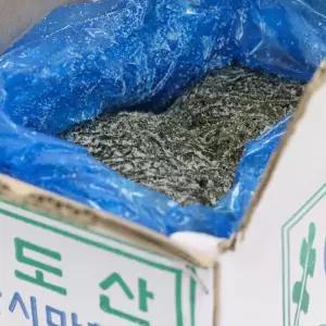 100% 국내산 완도 염장 다시마채 5kg 10kg 베지토피아