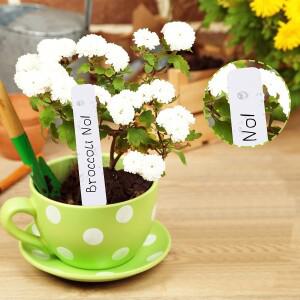 식물 마커 플라스틱 라벨, 묘목용 이름표, 정원 보육 태그, 종자 100 개 세트