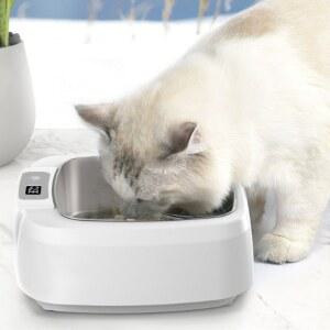 강아지 보온 물그릇 얼지않는물그릇 펫샵 물통 야외 강아지식기 히팅보울 급수기 조절