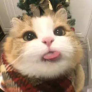 듀얼 헤드폰 이어 패드 교체 헤드 밴드 헤드셋 이어 패드 액세서리 Sennheiser PX100 PX200 용 귀 보호 슬