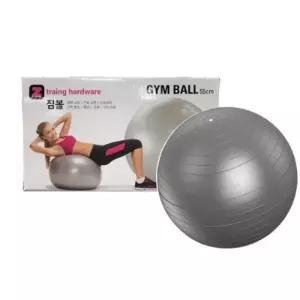 대형 짐볼 55cm 전신 운동 헬스 요가 다리 허리 스트레칭 홈 트레이닝 대형