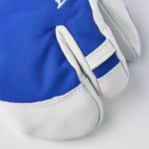 헤스트라 초등 남아 어린이 썰매 스키 장갑 3핑거 6 BNA