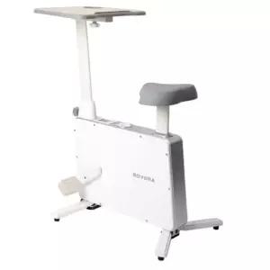 로베라 미니 사이클 바이크 자전거 실내 가정 홈트 BNS