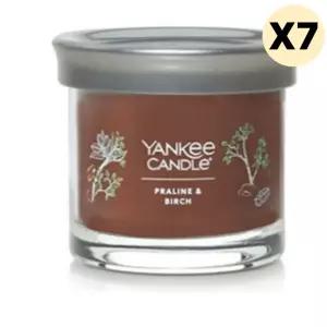 양키캔들 향초 시그니처 텀블러 프랄린앤버치 7개 BNS