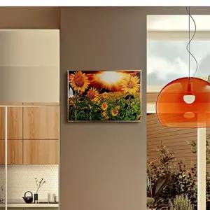 돈나무액자 돈들어오는 집들이 개업선물 해바라기 대형 거실 액자