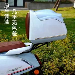 푸조 150 트렁크 그린 오토바이 내피 커버 리어백 지앙 호환