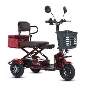 삼륜 스쿠터 세발 농촌 전기스쿠터 역삼륜 오토바이