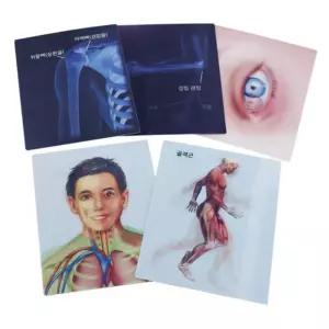 초등 과학 인체변화 학습 움직이는 무빙바디카드 어린이집 돌봄 동물의한살이