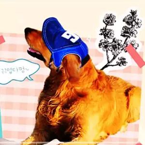 촬영용 강아지 01펫야구-베이지S 모자 산책 QWFHG8ZT