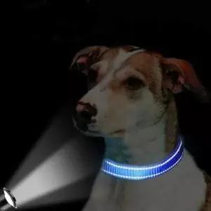 [셀러허브]야간산책용 반사목줄 고휘도 반사띠 강아지목줄 1+1 (S39374900)