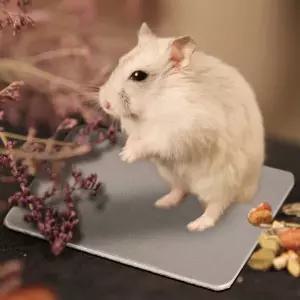 애완동물 알루미늄 패드 M