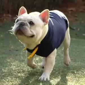 강아지 후드 맨투맨 (네이비) 애견 민소매 티셔츠