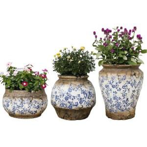 독일 토분 블루베리 블루그래스 블루베리화분 청화자 기타 3 트럼펫 3종세트 수입 대형