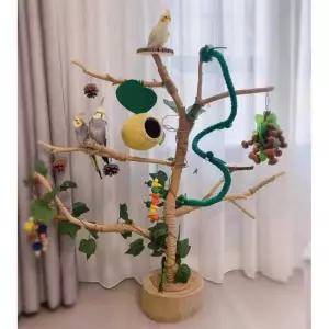 앵무새 놀이터 스탠드 그네 앵무새놀이터 원목 조류 둥지