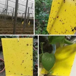 해충 퇴치법 끈끈이 양면용 모기 날파리 초파리트랩