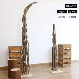 파티세팅 웨딩아치 나무 촬영소품 웨딩 야외 결혼식